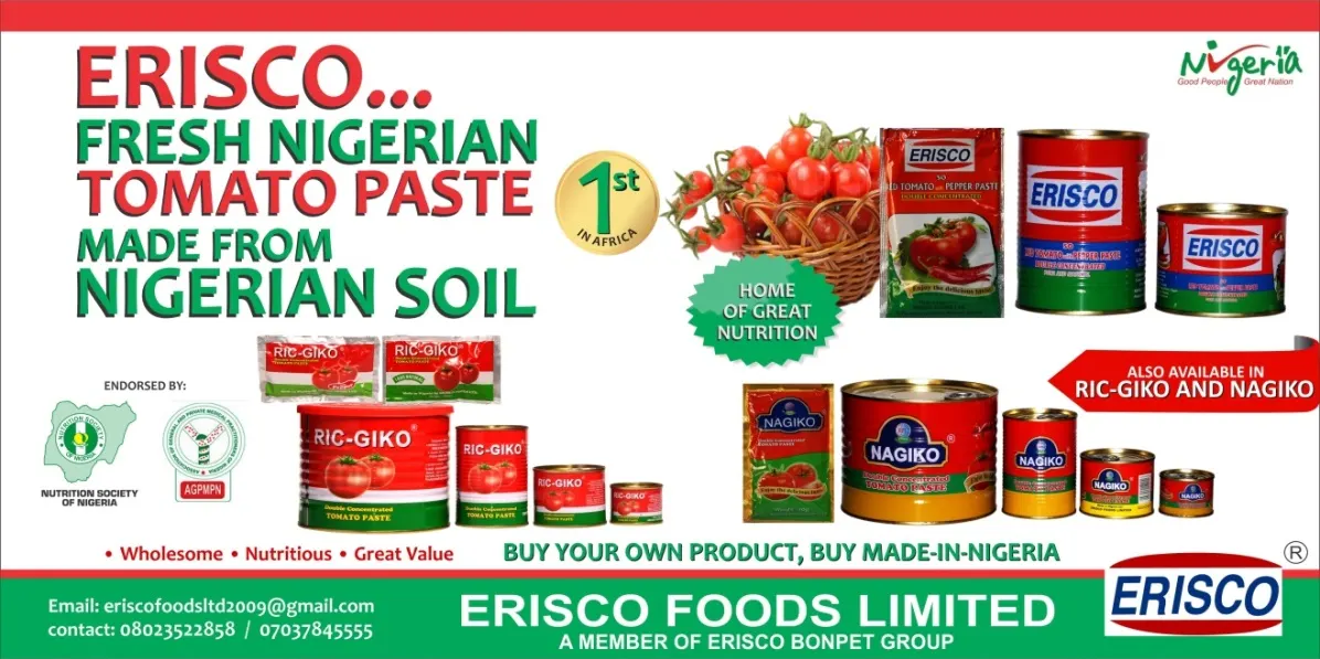 Launching RIC-GIKO to the top — campaign artwork for Erisco Foods Limited